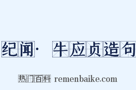纪闻·牛应贞造句是什么意思的图片